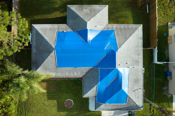 Best Roof Insulation Installation  in Farmington, MO